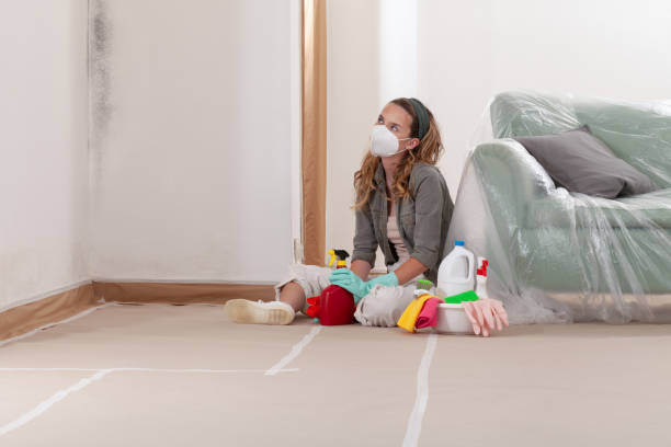 Reliable Mold Remediation contractor in Bergenfield, NJ by Car Mold Remediation